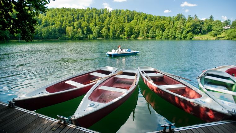 Boote am Ufer eines Sees mit Wald im Hintergrund.
