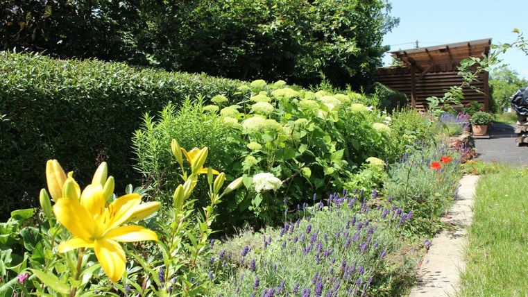 Ein blühender Garten mit bunten Blumen und grünen Pflanzen. Im Hintergrund ist ein Holzbau zu sehen und der Himmel ist klar.