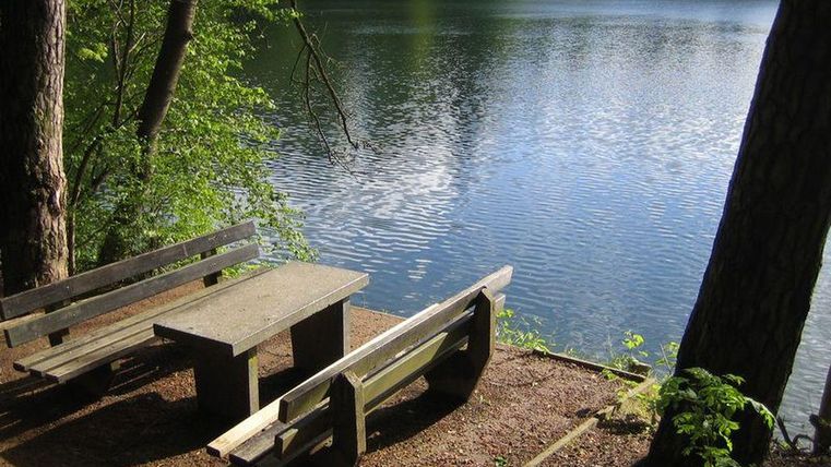 Ein ruhiger See umgeben von Bäumen, mit einer picknickfreundlichen Sitzgelegenheit aus Holz. Das Wasser spiegelt das grüne Ufer wider.
