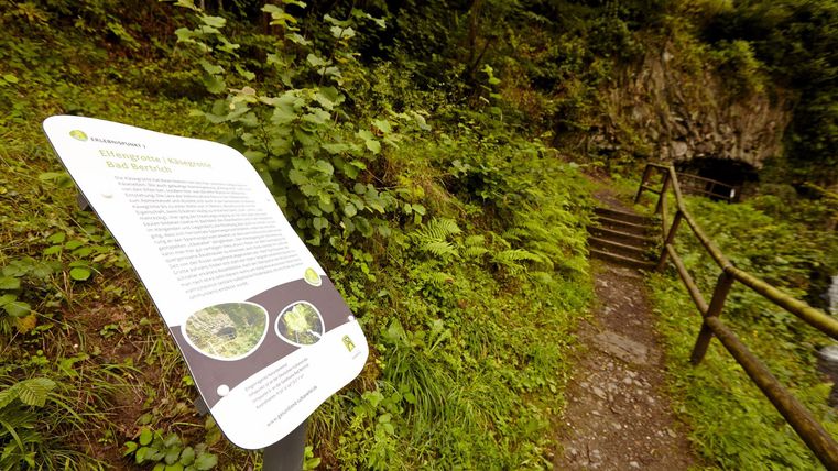 Ein Wanderweg mit einem Schild, das Informationen bietet. Umgeben von üppigem Grün und Bäumen.