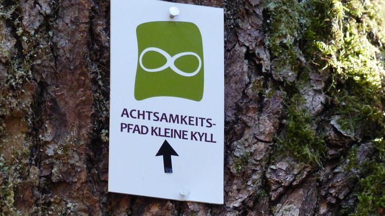 Ein Schild an einem Baum weist auf den Achtsamkeits-Pfad Kleine Kyll hin. Es zeigt ein Symbol und eine Richtung nach oben.