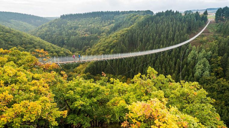 Eine schmale Hängeseilbrücke überquert ein malerisches Tal mit grünen Wäldern. Die Bäume zeigen herbstliche Farben und die Umgebung ist ruhig und einladend.