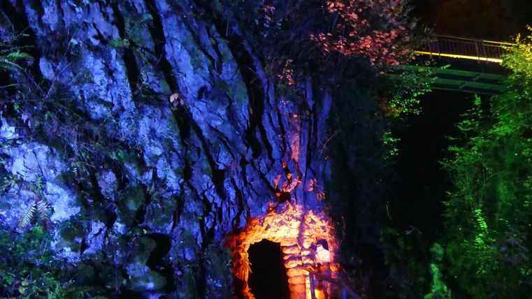 Ein mystischer Tunnel in einem Felsen, beleuchtet von bunten Lichtern. Umgebende Pflanzen fügen eine natürliche Schönheit hinzu.