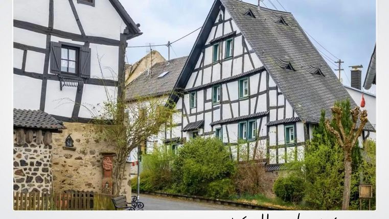 Ein malerisches Dorf mit traditionellen Fachwerkhäusern. Grünes Laub und ein ruhiger Straßenabschnitt verleihen der Szene Charme.