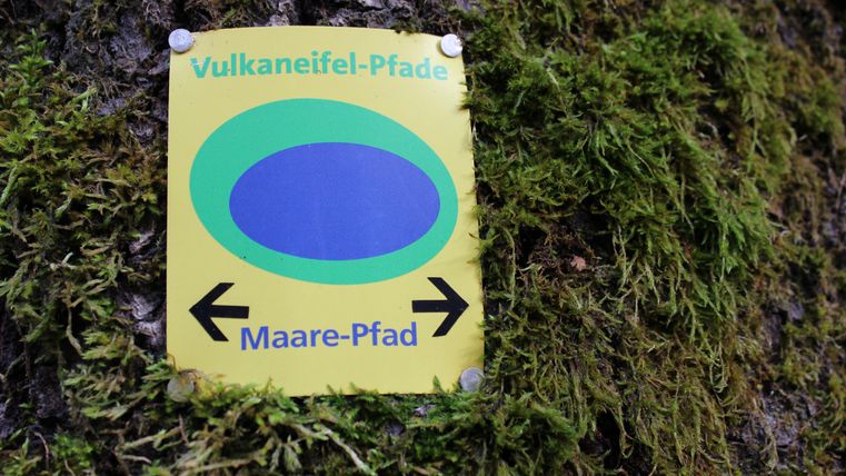 Ein gelbes Schild an einem Baum, das auf den Maare-Pfad hinweist. Es zeigt zwei Pfeile nach links und rechts sowie einen blauen, ovalen Punkt.