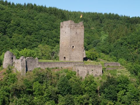 Eine alte Burg steht auf einem Hügel, umgeben von dichtem, grünem Wald. Der Turm ist höher als die restlichen Ruinen und strahlt historische Atmosphäre aus.