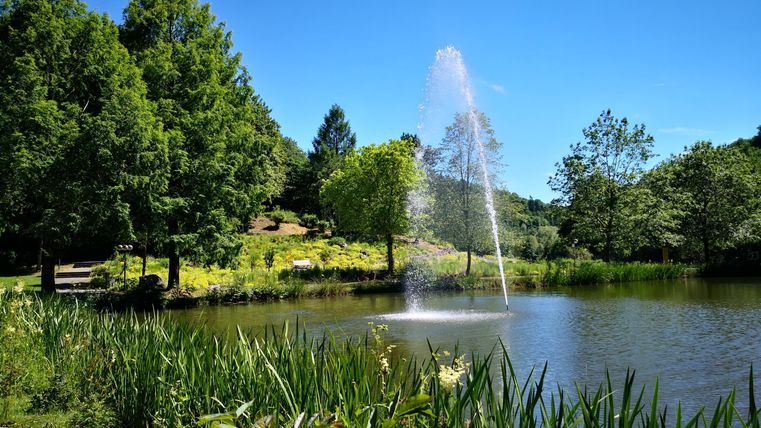 Ein ruhiger Teich mit einem springenden Wasserstrahl und umgeben von grünen Bäumen. Der Himmel ist klar und blau.