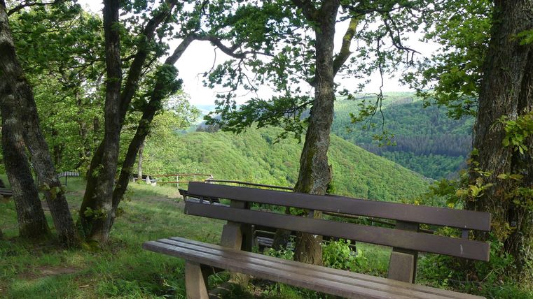 Eine Holzbank steht unter schattenspendenden Bäumen. Im Hintergrund ist eine grüne Hügellandschaft zu sehen.
