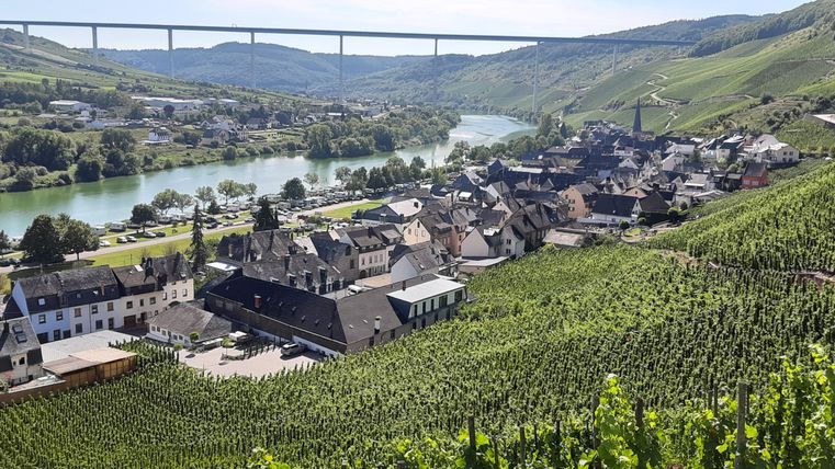 Eine malerische Weinlandschaft mit einem kleinen Dorf am Fluss. Hinter dem Dorf erstrecken sich grüne Weinberge und eine Brücke über das Tal.