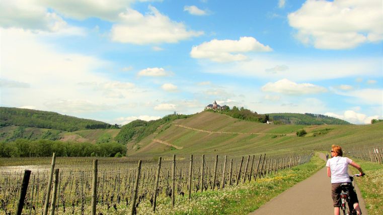 Ein Junge fährt mit dem Fahrrad entlang eines Wegs zwischen Weinbergen. Im Hintergrund sind sanfte Hügel und ein schöner Himmel zu sehen.