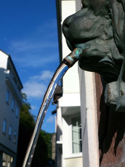 Ein kunstvoller Wasserbrunnen mit einem Löwenkopf, aus dem Wasser fließt. Im Hintergrund sind historische Gebäude und ein blauer Himmel zu sehen.