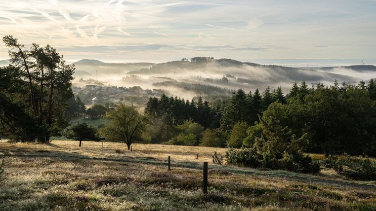Eine sanfte Morgenlandschaft mit Nebel über den Wäldern. Im Vordergrund befinden sich grüne Wiesen und vereinzelte Bäume.
