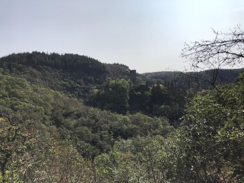 Eine grüne Landschaft mit Hügeln und Bäumen ist zu sehen. Im Hintergrund steht eine alte Burgruine.
