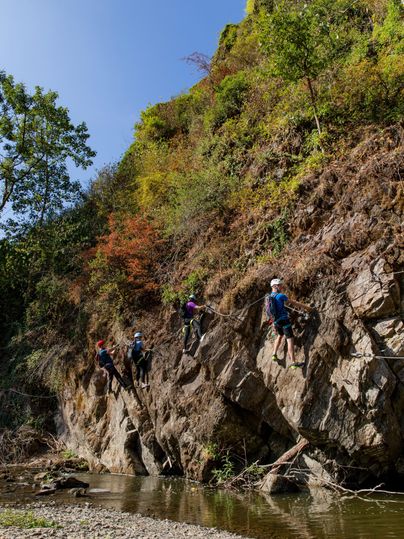 Vier Personen klettern an einer steilen Felswand. Im Vordergrund fließt ein ruhiger Bach umgeben von Bäumen.