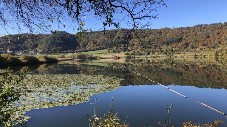 Ein ruhiger See umgeben von sanften Hügeln und buntem Laub. Der Himmel ist klar und reflektiert die Landschaft im Wasser.