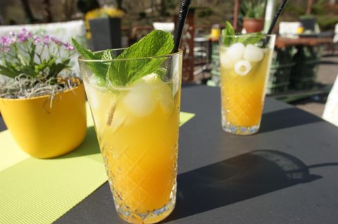 Zwei erfrischende Cocktails mit orangefarbener Flüssigkeit, frischen Minzblättern und Fruchtstücken. Sie stehen auf einem Tisch neben einer Pflanze in einem gelben Topf.