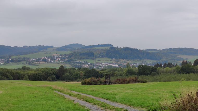 Eine grüne Wiese mit einem Schotterweg und sanften Hügeln im Hintergrund. Der Himmel ist bewölkt und es ist eine ruhige Landschaft zu sehen.