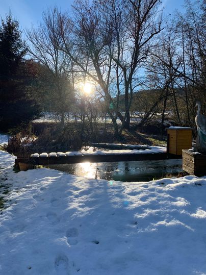 Eine Winterlandschaft mit schneebedecktem Boden und schneebedeckten Bäumen. Die Sonne scheint hell über einen kleinen Teich.