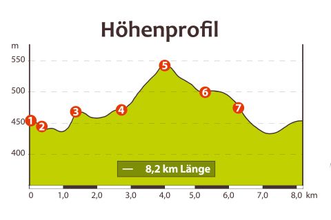 Een hoogteprofiel met verschillende stijgingen en dalingen. De route is 8,2 km lang en toont hoogtes tot 550 m.