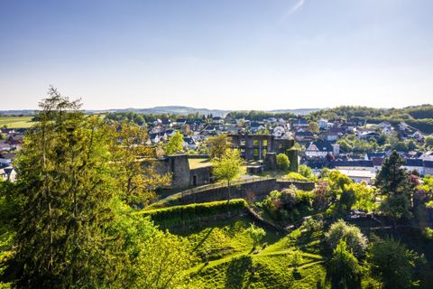 Eine malerische Aussicht auf eine Stadt mit grünen Hügeln und Bäumen. Im Hintergrund sind mehrere Häuser und eine klare blaue Himmel zu sehen.