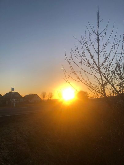 Ein schöner Sonnenaufgang hinter Bäumen, der den Himmel in warmen Farben erstrahlen lässt. Im Vordergrund sind silhouettierte Äste sichtbar.