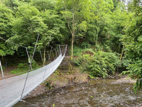 Eine Hängebrücke führt durch einen grünen Wald über einen kleinen Fluss. Die Umgebung ist von dichten Bäumen und üppiger Vegetation geprägt.