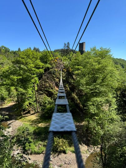 Eine Hängebrücke führt über einen Wald mit üppigem Grün. Im Hintergrund ist ein alter Turm sichtbar.