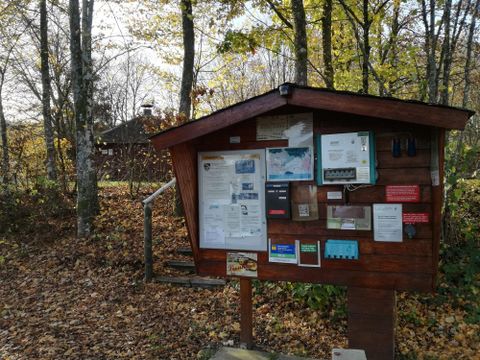 Ein informatives Holzkiosk im Wald mit verschiedenen Aushängen und Informationen. Umgeben von buntem Laub und Bäumen.