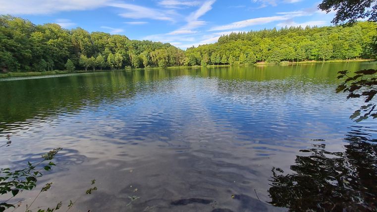Ein ruhiger See umgeben von grünen Bäumen und einem klaren Himmel. Die Wasseroberfläche spiegelt die Umgebung wider.