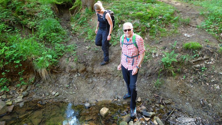 Zwei Personen wandern im Wald neben einem kleinen Bach. Die Umgebung ist grün und naturbelassen.
