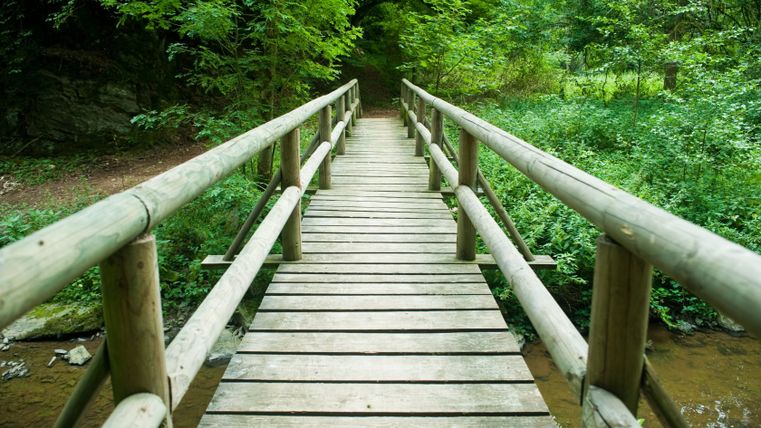 Holzbrücke über einen kleinen Bach im Wald.