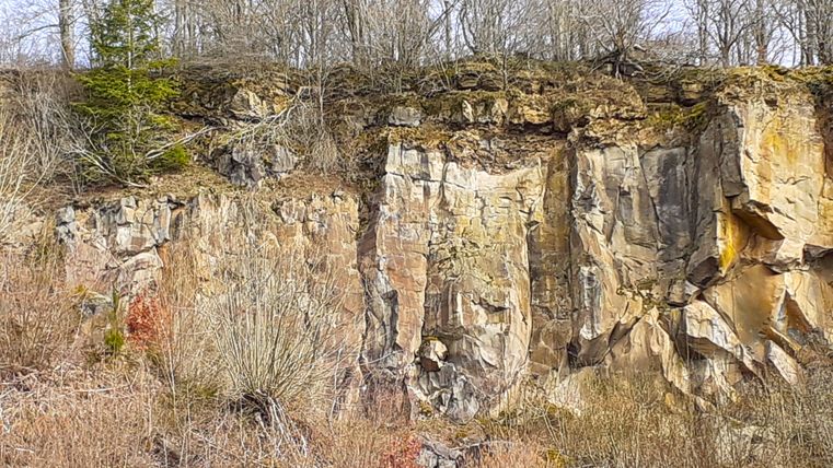 Basaltsteinbruch mit kahlen Bäumen und Felsen.