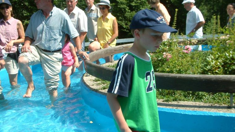 Eine Gruppe von Menschen steht im Wasser eines blauen Pools. Ein Junge in einem grünen T-Shirt spielt dabei.