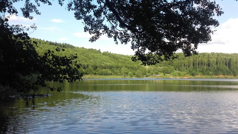 Ein friedlicher See umgeben von grünen Bäumen und sanften Hügeln. Der Himmel ist klar und die Wasseroberfläche spiegelt die Natur wider.