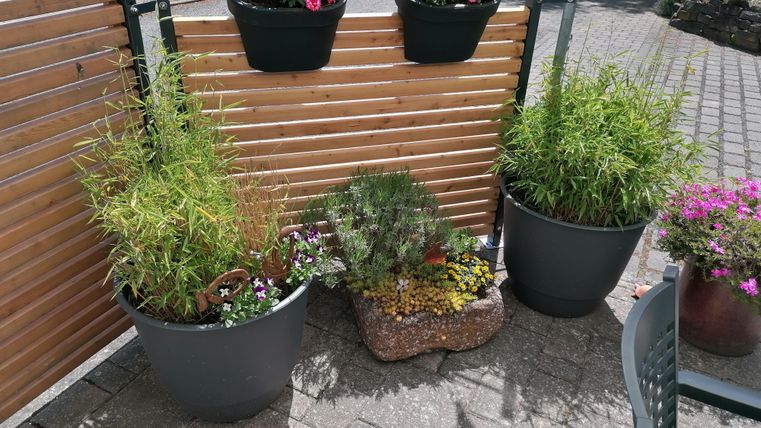 Ein schöner Bereich mit verschiedenen Pflanzen in großen Töpfen und bunten Blumen oben. Im Hintergrund ist eine Holzwand zu sehen, die eine gemütliche Atmosphäre schafft.