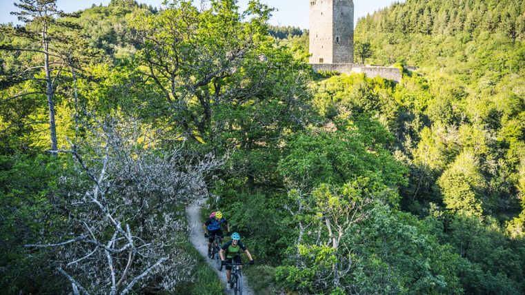 Ein Radfahrerweg führt durch dichten Wald, vorbei an einer alten Ruine. Im Hintergrund ragen grüne Bäume und ein Hochhaus in die Höhe.