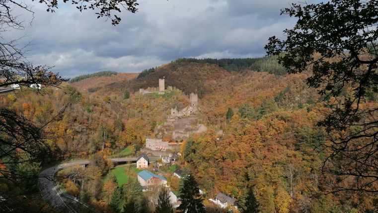 Eine malerische Landschaft mit herbstlichen Bäumen und einer alten Burgruine im Hintergrund. Der Himmel ist bewölkt und die Farben der Natur strahlen in warmen Tönen.