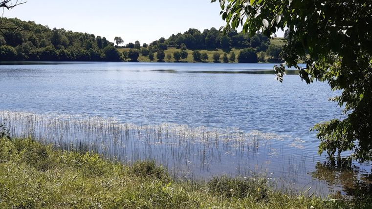 Ein ruhiger See umgeben von grünem Gras und Bäumen. Die Wasseroberfläche spiegelt den klaren Himmel wider.