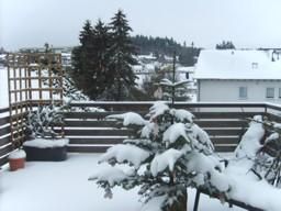 Ein Balkon im Schnee mit einer geschlossenen Landschaft im Hintergrund. Die Bäume sind mit einer dicken Schneeschicht bedeckt.