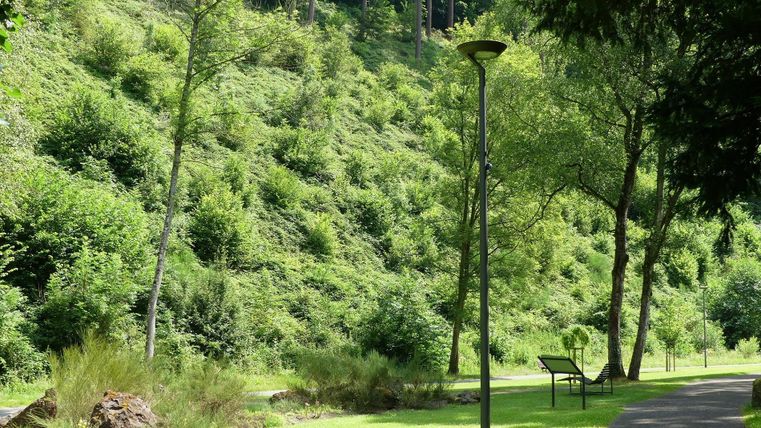 Ein schöner Park mit grünen Hügeln und Bäumen. Ein Weg mit einer Straßenlaterne führt durch die Landschaft.