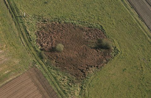 Eine grüne Wiese mit einer braunen Fläche in der Mitte und einigen Bäumen. Der Bereich um die Fläche ist von Feldern umgeben.