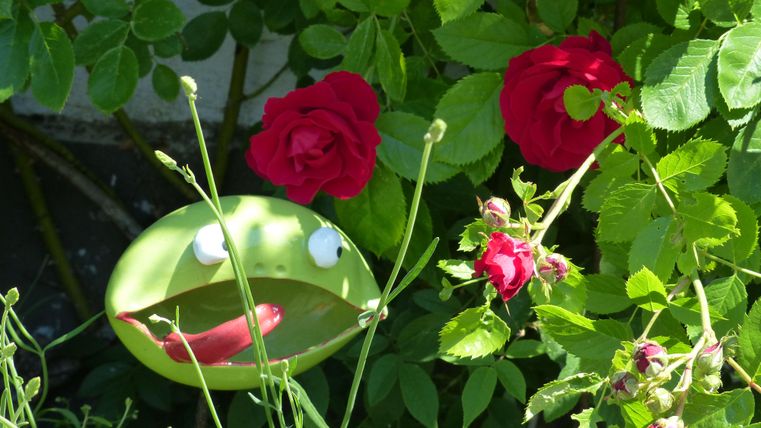 Eine grüne Figur mit einem lächelnden Gesicht steht zwischen roten Rosen. Im Hintergrund sind Blätter und Pflanzen zu sehen.