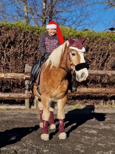 Ein Kind reitet auf einem Pferd und trägt einen Weihnachtsmann-Hut. Das Pferd ist festlich geschmückt und die Umgebung ist sonnig.