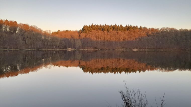 Ein ruhiger See, der die herbstlichen Farben der umgebenden Bäume spiegelt. Der Himmel ist klar und die Atmosphäre ist friedlich.