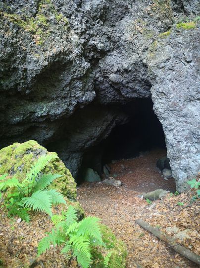 Ein natürlicher Höhleneingang, umgeben von moosbedeckten Felsen und farnartigen Pflanzen. Der Boden ist mit Laub und kleinen Steinen bedeckt.