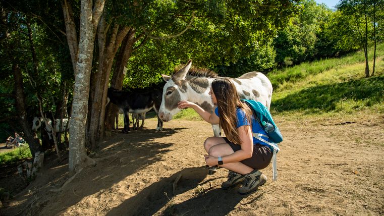 Eine Frau streichelt einen Esel im Schatten von Bäumen auf einem Wanderweg.