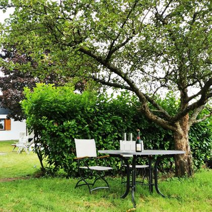 Ein gemütlicher Tisch mit Stühlen unter einem Baum. Auf dem Tisch stehen eine Flasche Wein und Gläser, umgeben von grünen Sträuchern.