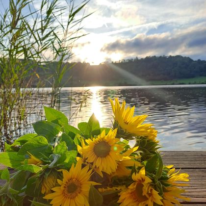 Ein Kranz aus Sonnenblumen liegt am Ufer eines ruhigen Sees. Im Hintergrund scheint die Sonne unter einem bewölkten Himmel.