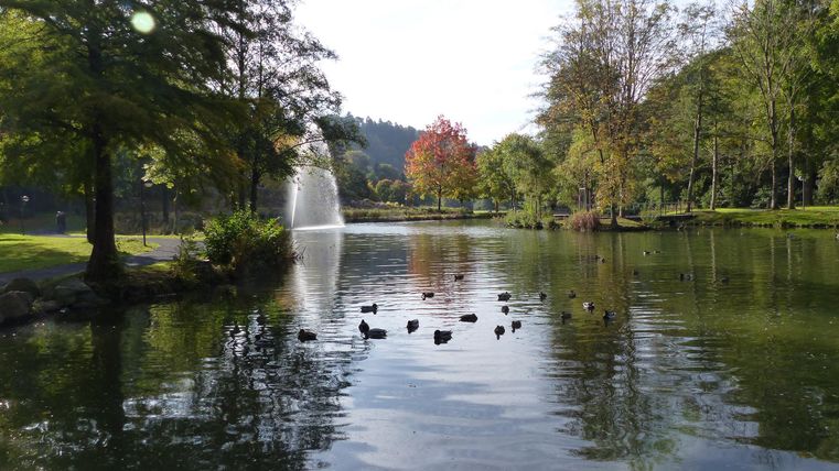 Ein ruhiger Teich mit Enten und einerFontäne. Rundherum stehen grüne Bäume und buntes Herbstlaub.