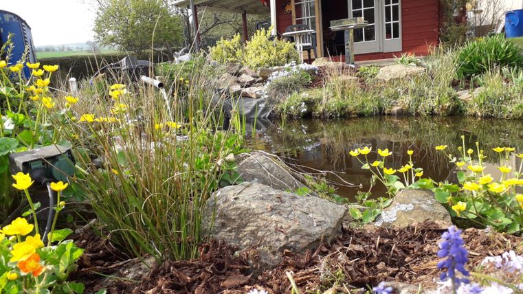 Ein schöner Garten mit bunten Blumen und einem kleinen Teich. Im Hintergrund steht ein rotes Gebäude mit großen Fenstern.